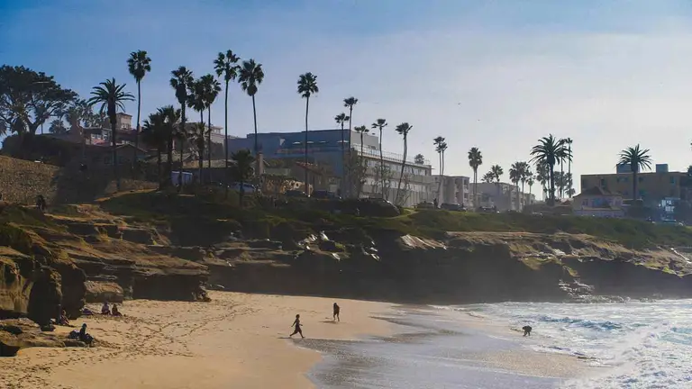 A California beach below a clifftop row of buildings and palms, the kind of long-held coastal ground where a chain of title runs back far enough to break